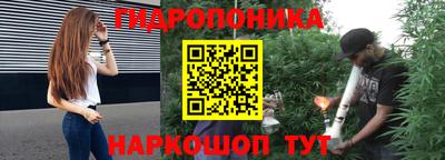 прущие крисы Кулебаки