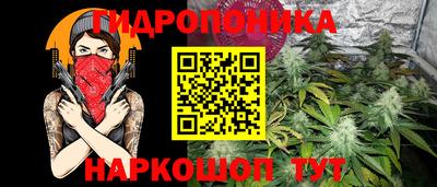 прущие крисы Кулебаки