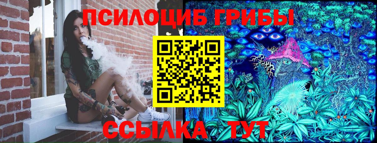 Галлюциногенные грибы MAGIC MUSHROOMS  Вход с VPN  Ишим 
