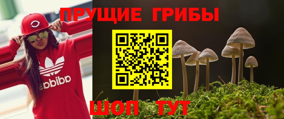 Галлюциногенные грибы Cubensis Ишим